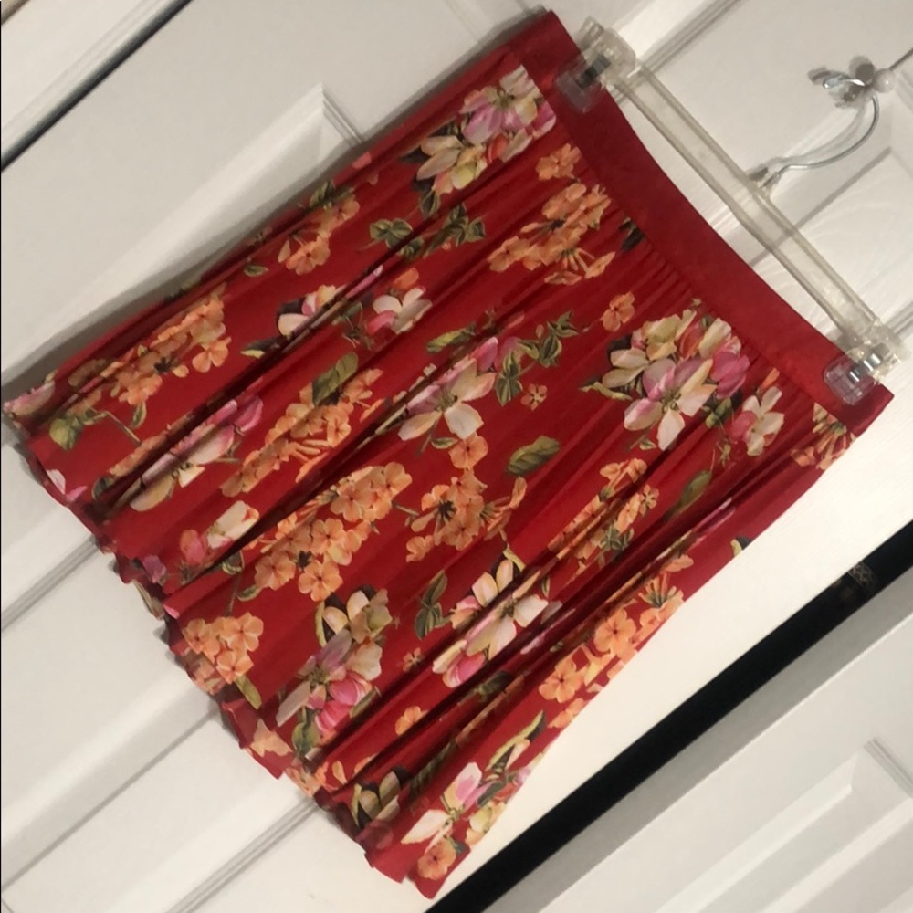 Fun Express Skirt